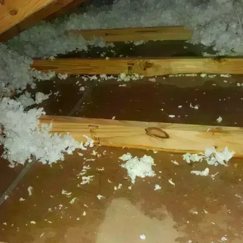 Attic Water Damage in Beggs, OK