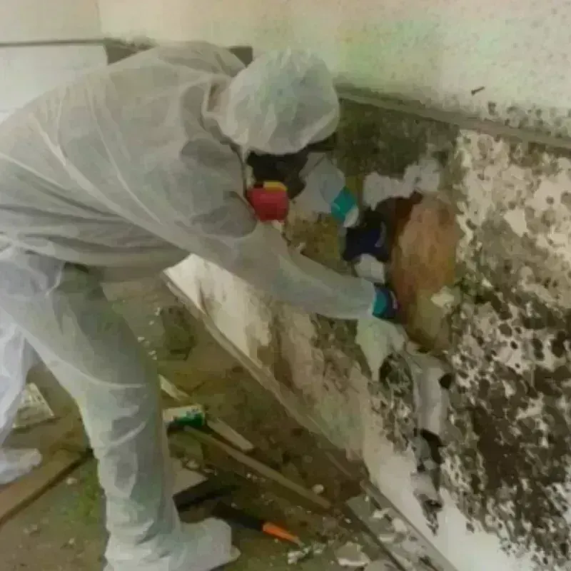 Mold Remediation and Removal in Beggs, OK